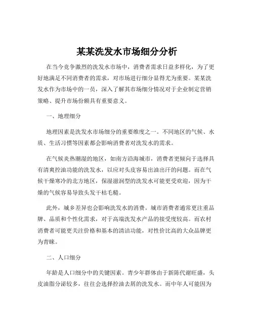 某某洗发水市场细分分析