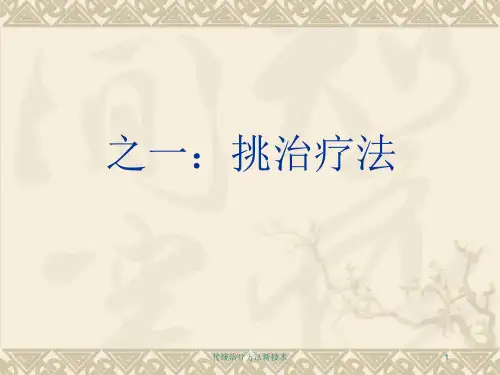 传统治疗方法新技术培训课件