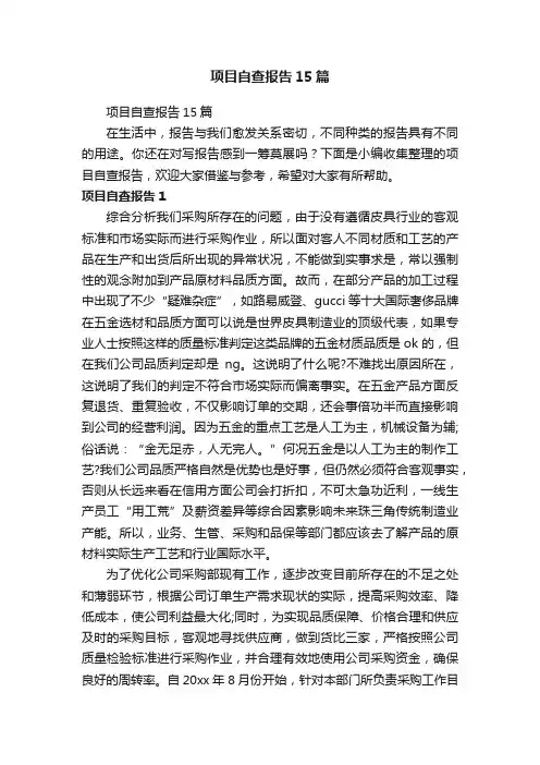 项目自查报告15篇