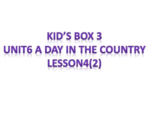 剑桥国际少儿英语第三册Kid'sBox3Unit6ADayintheCountryLesson4(2