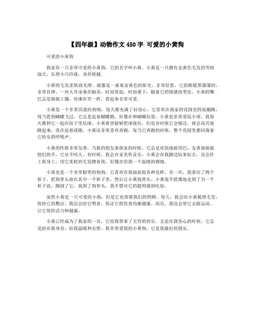【四年级】动物作文450字 可爱的小黄狗