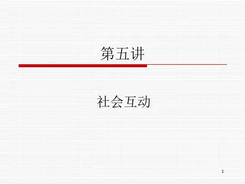 第五讲 社会互动