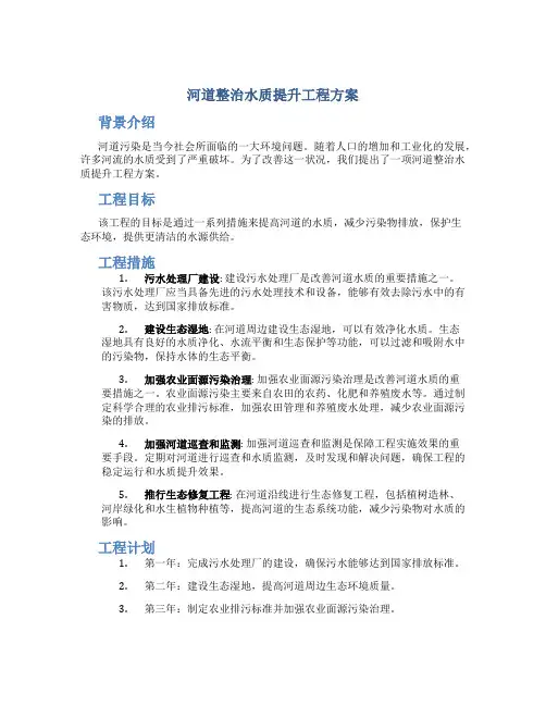 河道整治水质提升工程方案 (2)