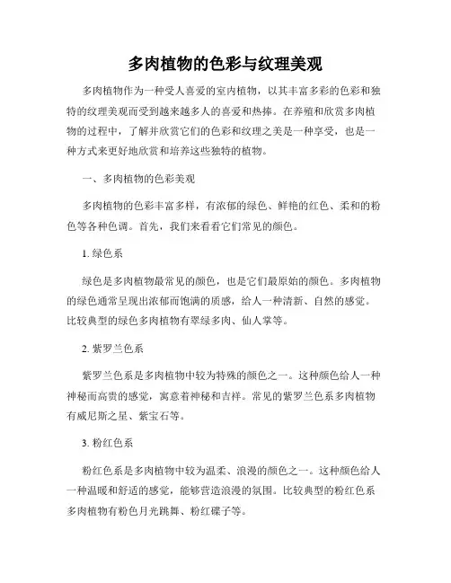 多肉植物的色彩与纹理美观
