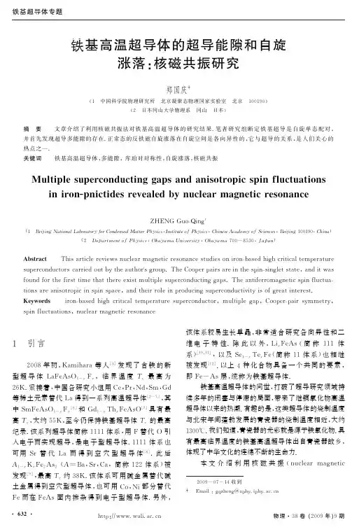 铁基高温超导体的超导能隙和自旋涨落：核磁共振研究