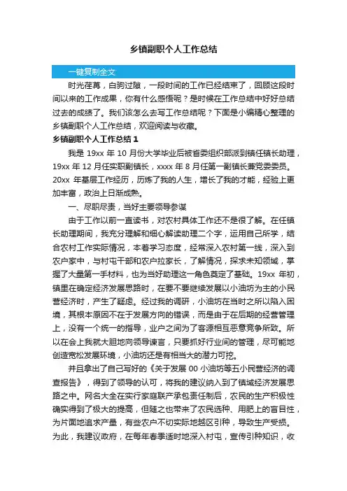 乡镇副职个人工作总结