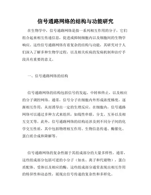 信号通路网络的结构与功能研究
