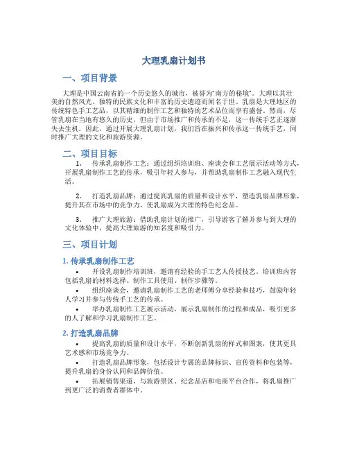 大理乳扇计划书