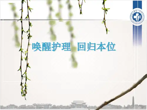 唤醒护理体会ppt
