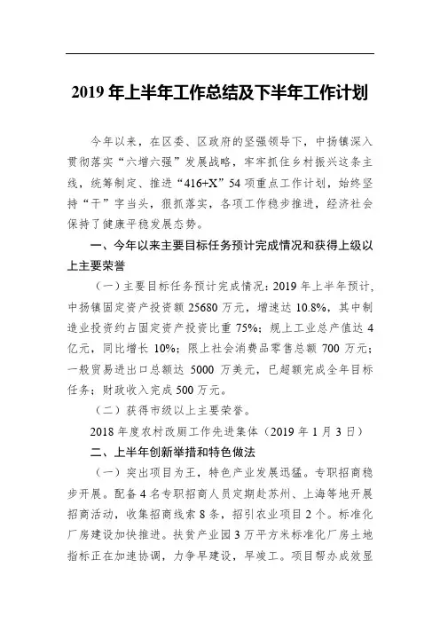 2019年上半年工作总结及下半年工作计划(乡镇)