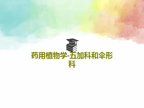 药用植物学-五加科和伞形科PPT44页