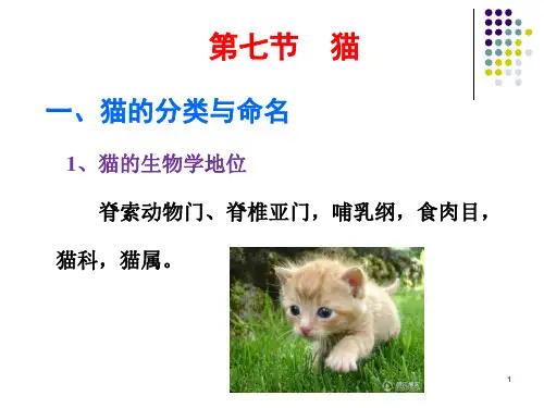 猫、猪的生物学特性及其在生物医学研究中的应用-精