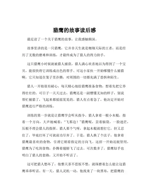 猎鹰的故事读后感
