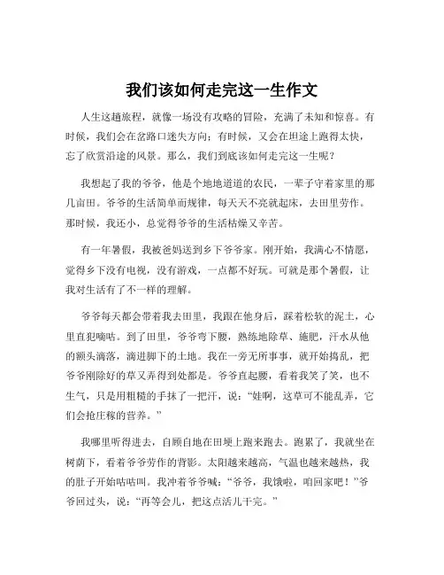 我们该如何走完这一生作文