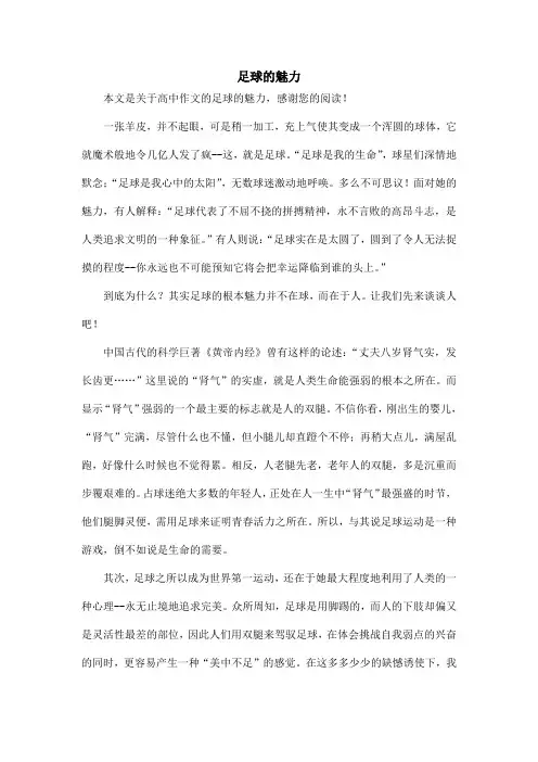 足球的魅力_高中作文