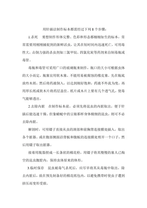 怎样制作昆虫标本