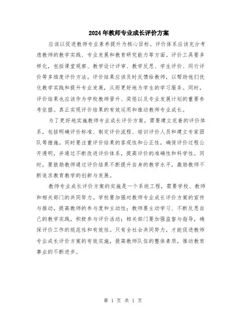 2024年教师专业成长评价方案