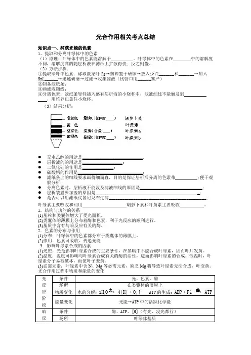 (word完整版)光合作用知识点归纳总结,推荐文档