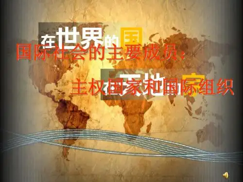 4.8.1国际社会的成员：主权国家与国际组织
