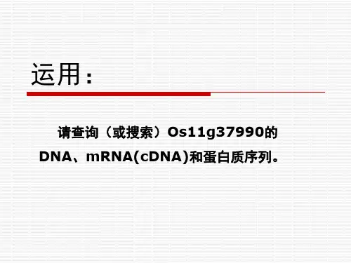 序列比对(双序列比对)