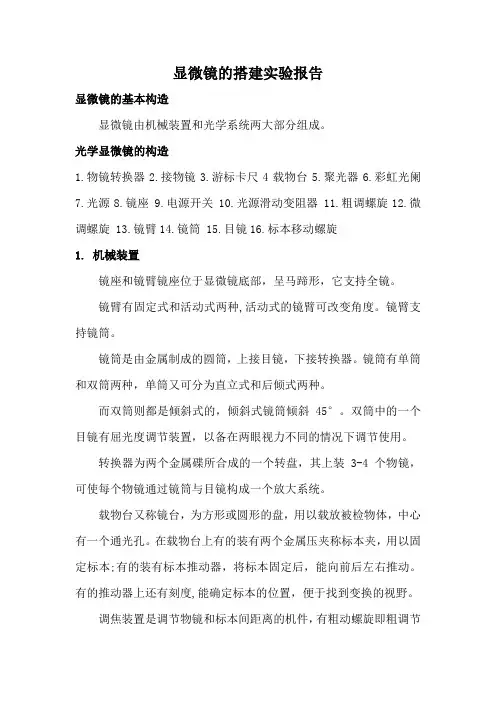 显微镜的搭建实验报告