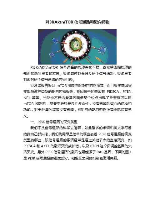 PI3KAktmTOR信号通路和靶向药物