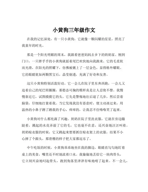 小黄狗三年级作文