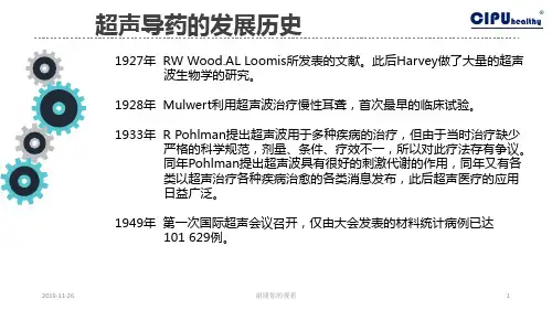 超声导药的发展历史.pptx