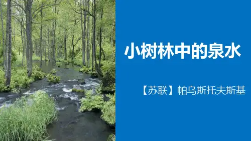 小树林中的泉水