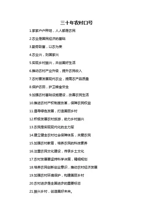 三十年农村口号