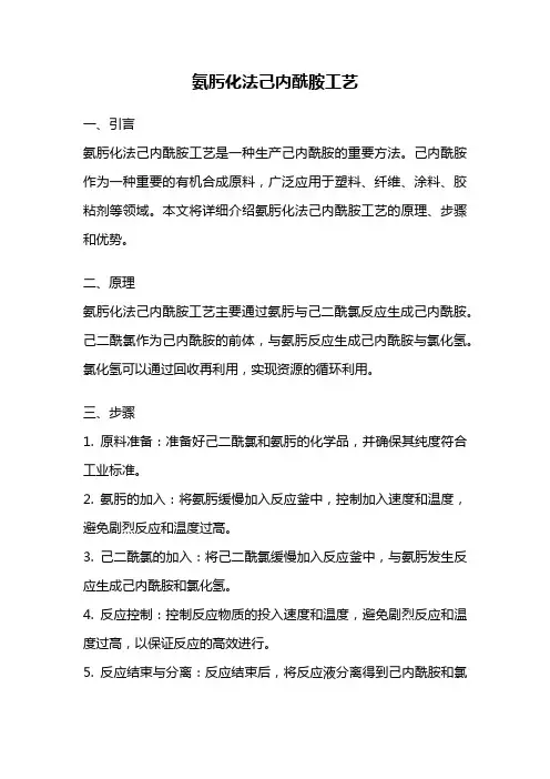 氨肟化法己内酰胺工艺