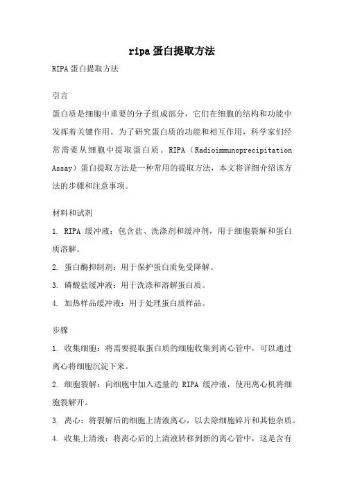 ripa蛋白提取方法
