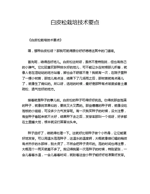白皮松栽培技术要点