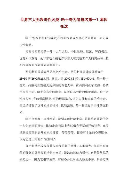 世界三大无攻击性犬类-哈士奇为啥排名第一？原因在这