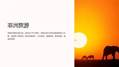 《非洲旅游》课件