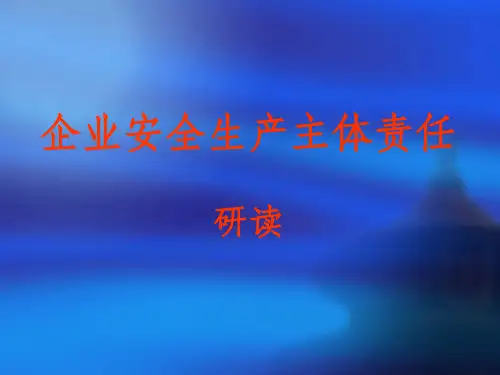 企业安全生产主体责任ppt课件