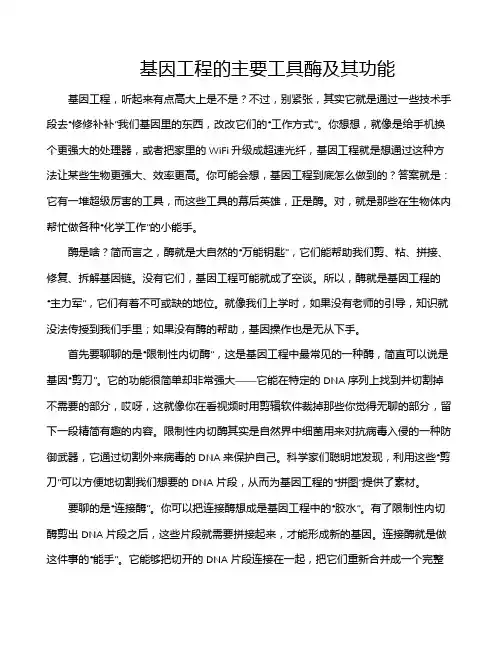 基因工程的主要工具酶及其功能