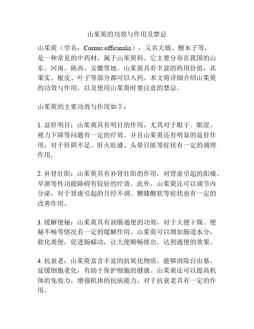山茱萸的功效与作用及禁忌