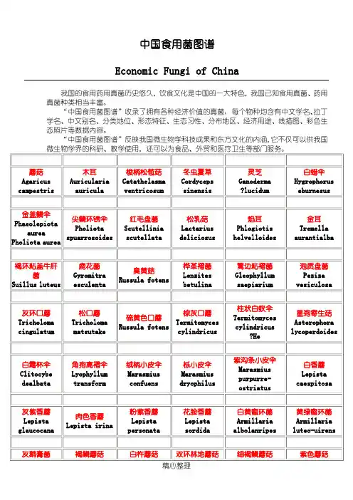 中国食用菌图谱