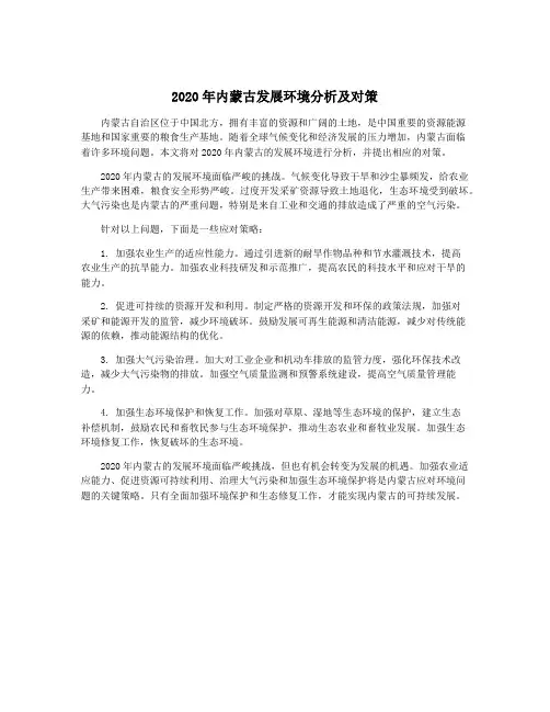 2020年内蒙古发展环境分析及对策