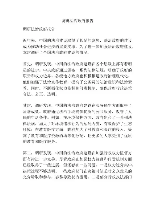 调研法治政府报告