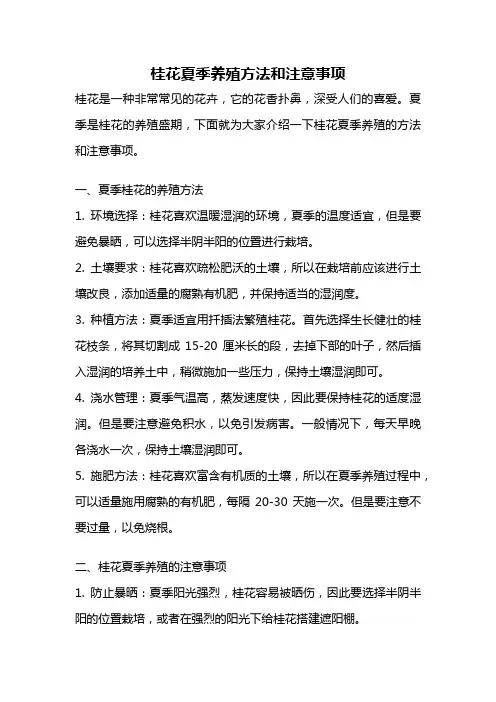 桂花夏季养殖方法和注意事项