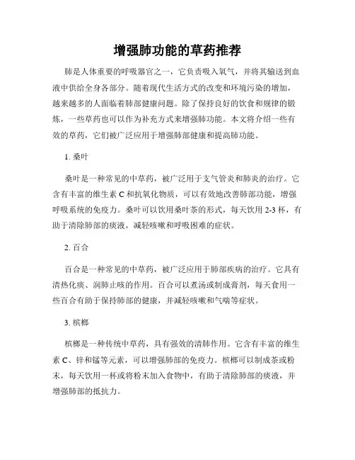 增强肺功能的草药推荐