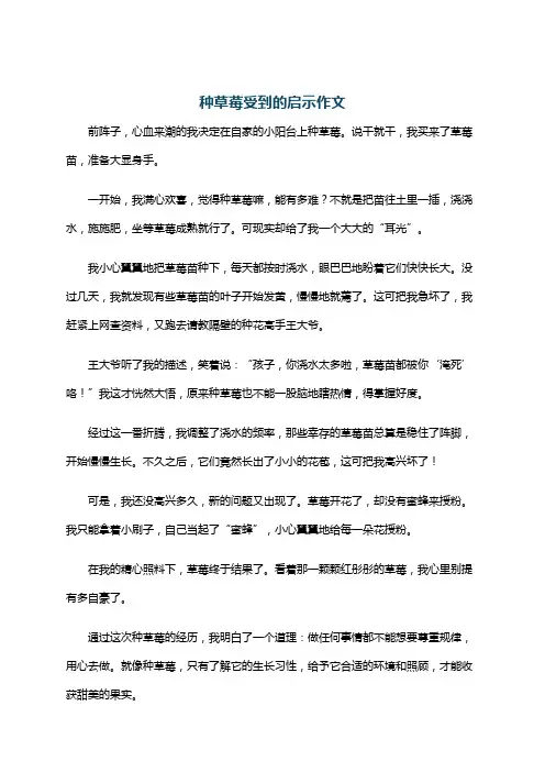 种草莓受到的启示作文