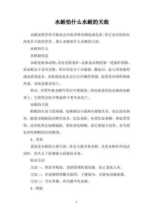水蛭怕什么？水蛭的天敌