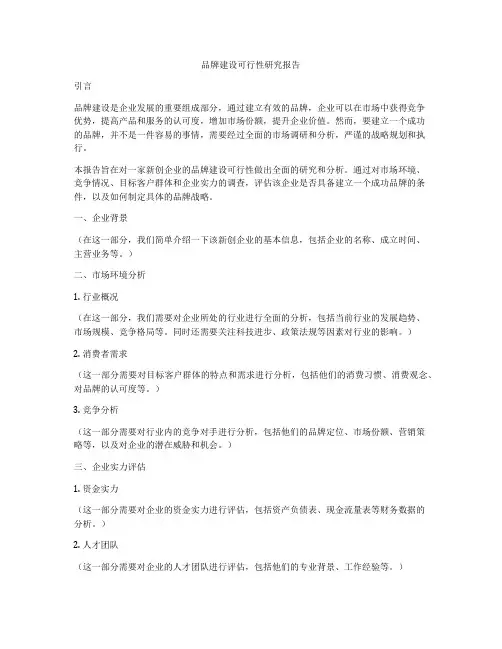 品牌建设可行性研究报告