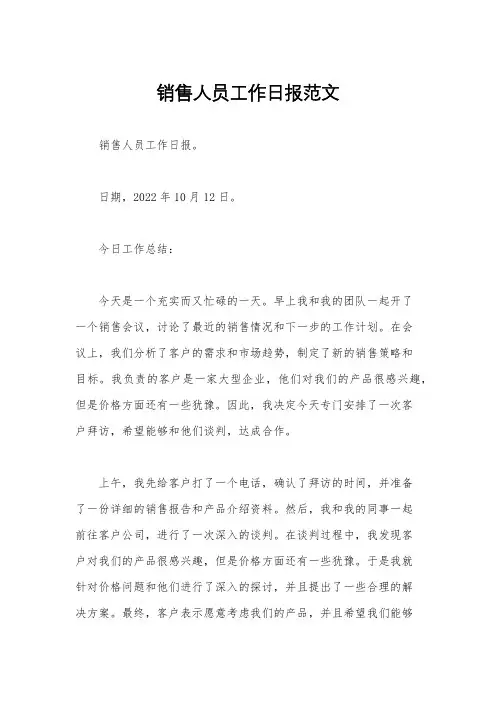销售人员工作日报范文