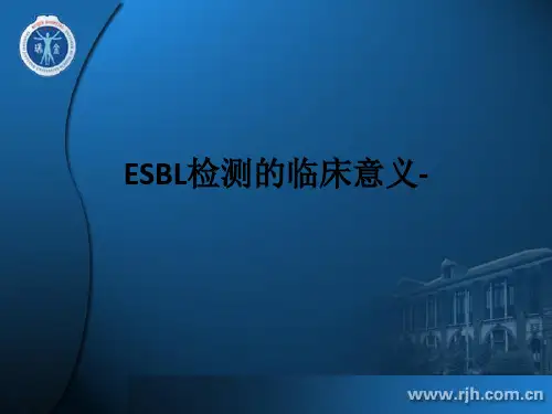 ESBL检测的临床意义-ppt课件