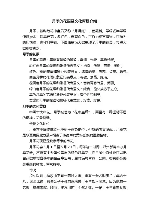 月季的花语及文化背景介绍