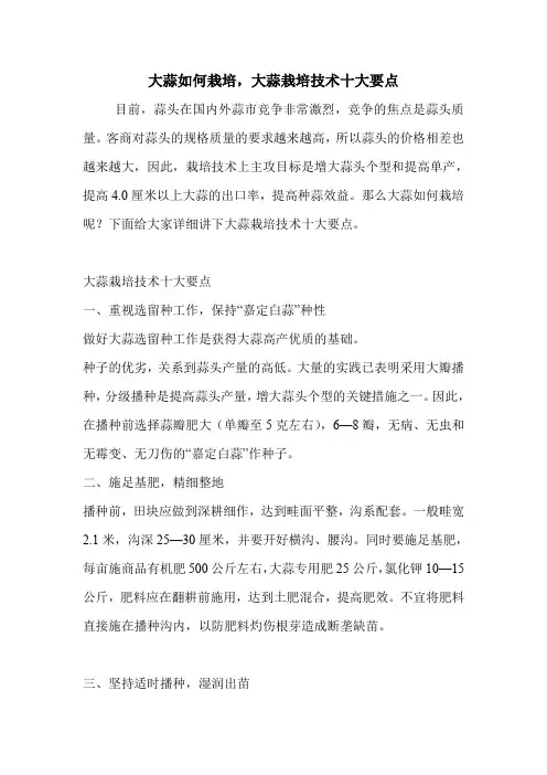 大蒜如何栽培,大蒜栽培技术十大要点.doc